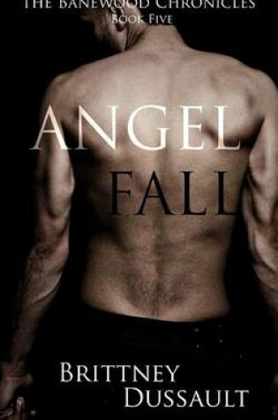 Cover of Angel Fall