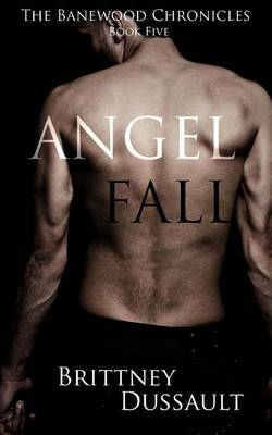 Book cover for Angel Fall