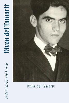Book cover for Divan del Tamarit