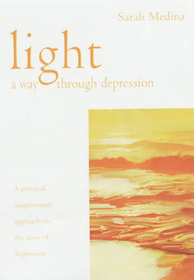 Book cover for Light