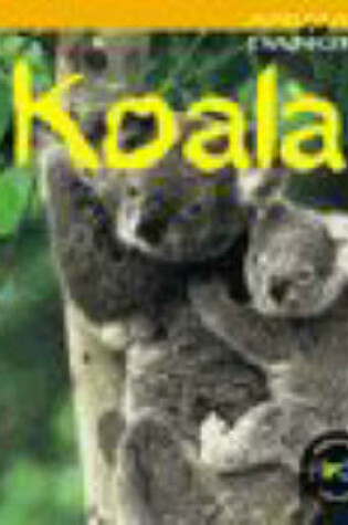 Cover of Animals in Danger: Koala (Cased)