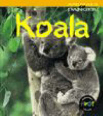 Book cover for Animals in Danger: Koala (Cased)