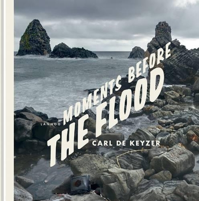 Book cover for Moments Before the Flood