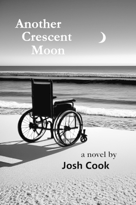Book cover for Another Crescent Moon