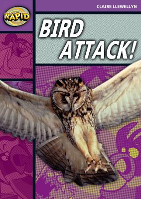 Book cover for Rapid Reading: Bird Attack! (Stage 1, Level B)