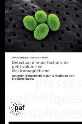 Cover of Detection D Imperfections de Petit Volume En Electromagnetisme