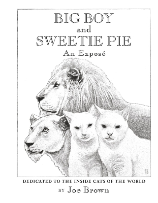 Book cover for Big Boy and Sweetie Pie