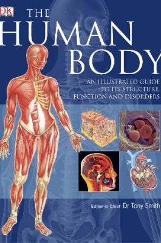 Cover of The Human Body