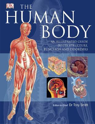 Book cover for The Human Body