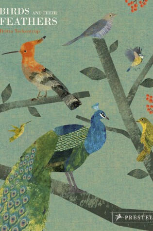 Cover of Birds and Their Feathers