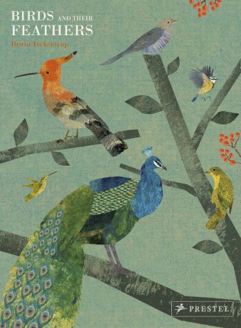 Book cover for Birds and Their Feathers