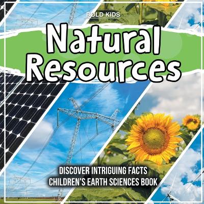 Book cover for Natural Resources 6th Grade Children's Book Children's Earth Sciences Book