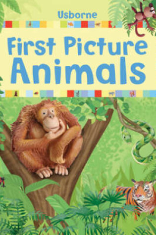 Cover of First Picture Animals