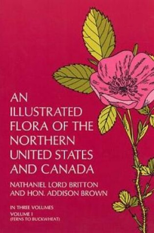 Cover of An Illustrated Flora of the Northern United States and Canada: v. 1