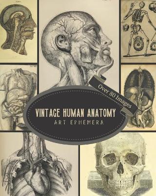 Book cover for Vintage Human Anatomy Art Ephemera