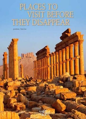 Book cover for Places to Visit Before They Disappear