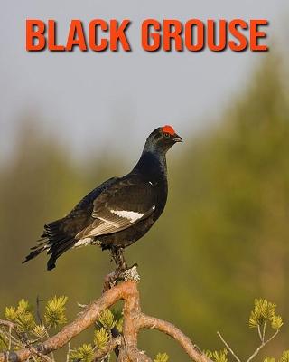 Book cover for Black Grouse