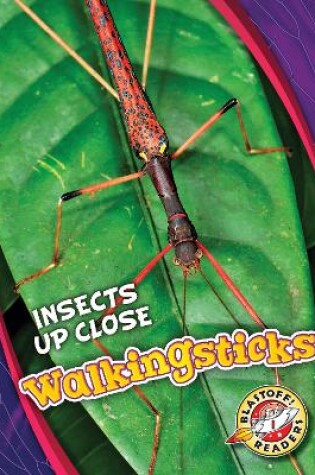 Cover of Walkingsticks