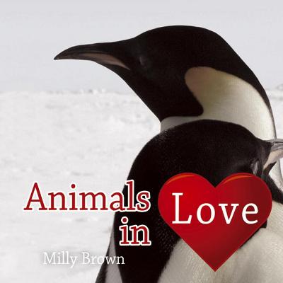 Book cover for Animals in Love