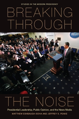 Book cover for Breaking Through the Noise