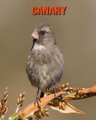 Book cover for Canary