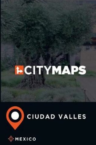 Cover of City Maps Ciudad Valles Mexico