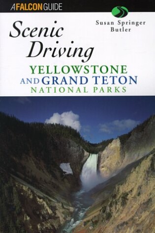 Cover of Family Fun in Yellowstone National Park