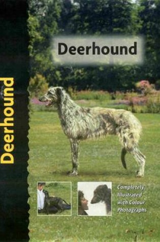 Cover of Deerhound