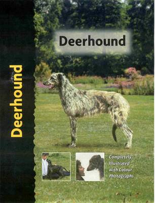 Book cover for Deerhound