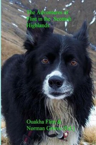Cover of The Adventures of Flint in the Scottish Highlands.