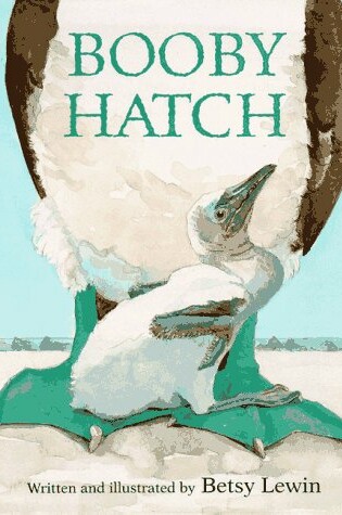 Cover of Booby Hatch