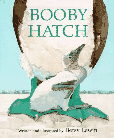 Book cover for Booby Hatch