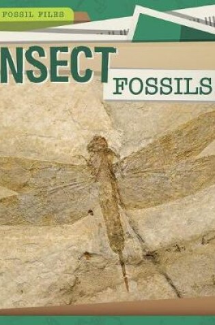Cover of Insect Fossils