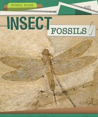 Book cover for Insect Fossils