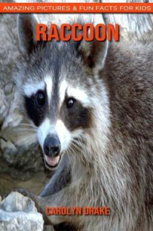 Cover of Raccoon