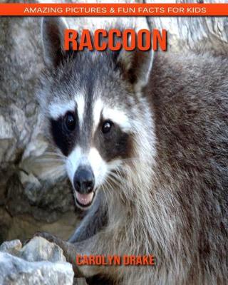 Book cover for Raccoon