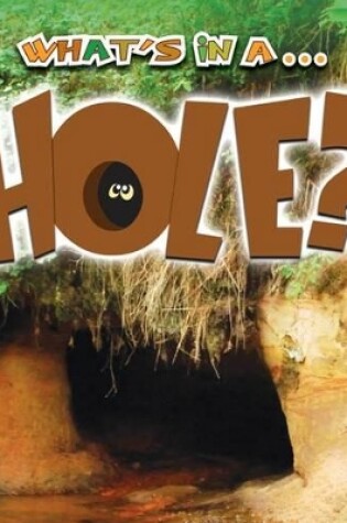 Cover of What's in a... Hole?