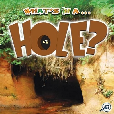 Cover of What's in a... Hole?