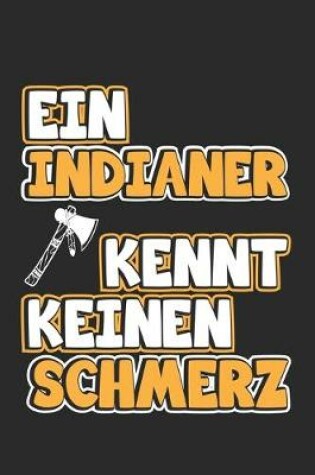 Cover of Ein Indianer kennt keinen Schmerz