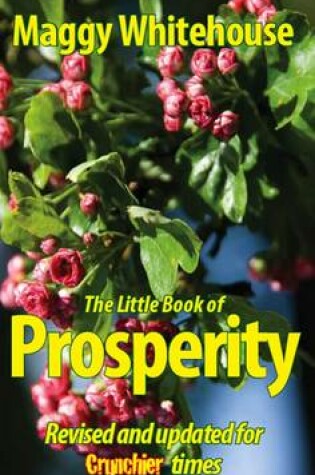 Cover of The Little Book of Prosperity