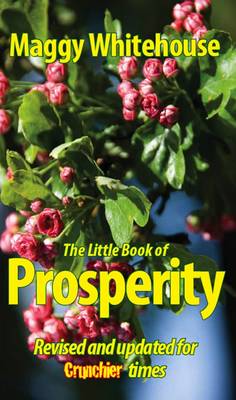 Book cover for The Little Book of Prosperity