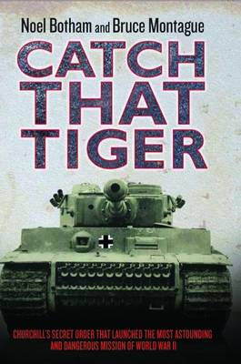 Book cover for Catch That Tiger