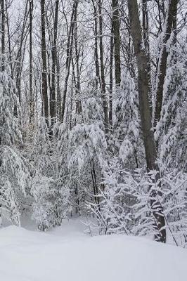 Cover of 2019 Weekly Planner Winter Snowy Forest Scene 134 Pages