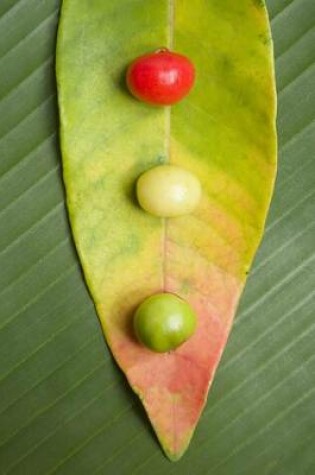 Cover of Leaf and Berry Still Life Journal