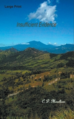Book cover for Insufficient Evidence