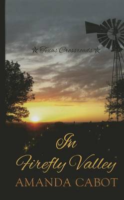 Book cover for In Firefly Valley