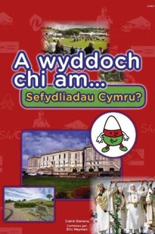 Cover of Cyfres a Wyddoch Chi: A Wyddoch Chi am Sefydliadau Cymru?