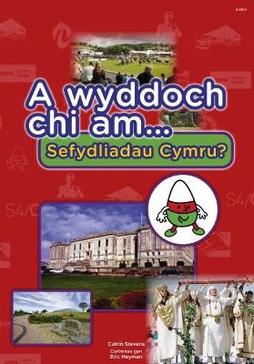 Book cover for Cyfres a Wyddoch Chi: A Wyddoch Chi am Sefydliadau Cymru?