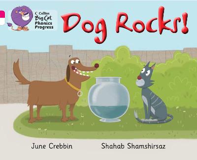 Book cover for Dog Rocks!