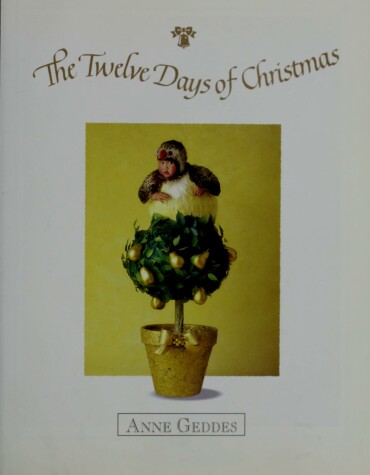 Book cover for The Twelve Days of Christmas